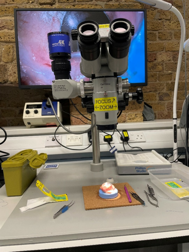 Microscope with simulated surgery